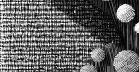 The N/A Protocol: When Blockchain Analysis Yields Nothing But Empty Templates