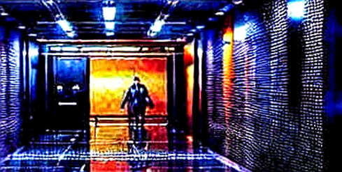 The Ghost Protocol: When Blockchain Projects Hide Behind Empty Whitepapers
